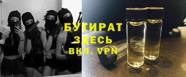 индика Алексин