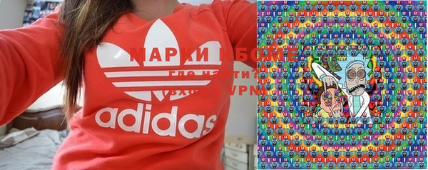 индика Алексин