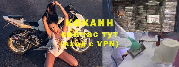 индика Алексин