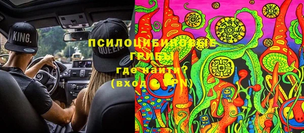 индика Алексин
