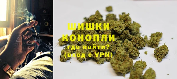 индика Абаза