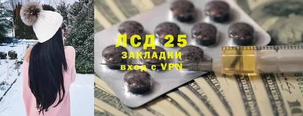 индика Алексин