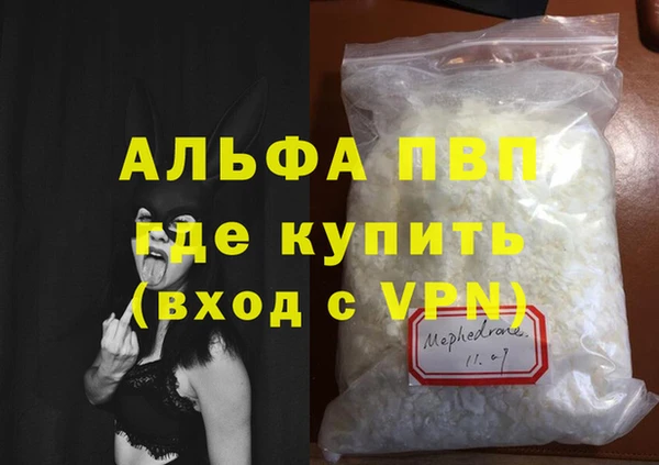 индика Алексин
